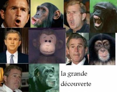 le meilleur decouvert